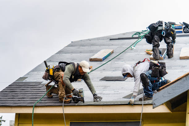 Professional Roofing technician working in White Hall, IL